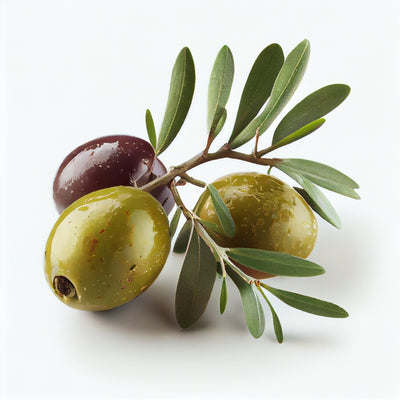 Cold-Pressed Unrefined Olive Oil